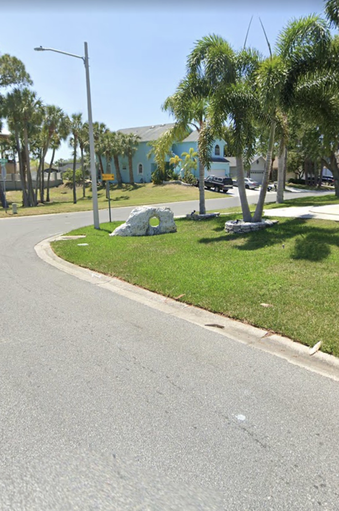 Palm-lined residential streetscape